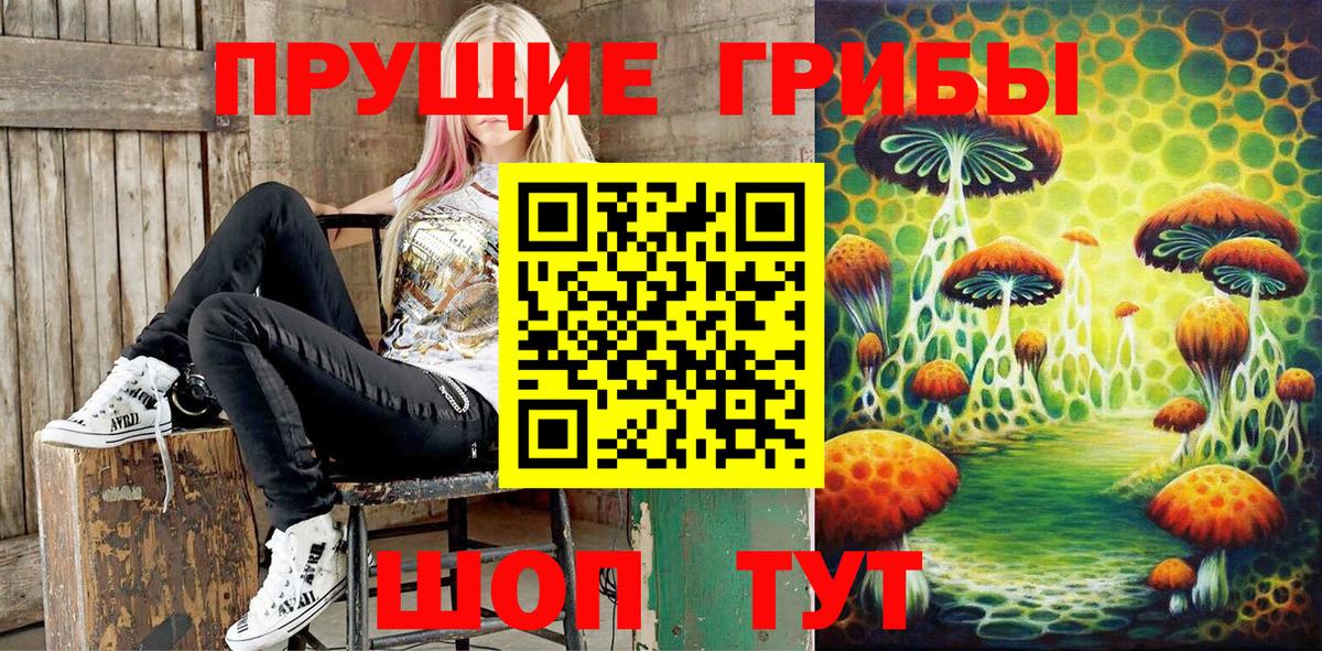 Галлюциногенные грибы MAGIC MUSHROOMS  сколько стоит  Благовещенск  Вход с VPN 